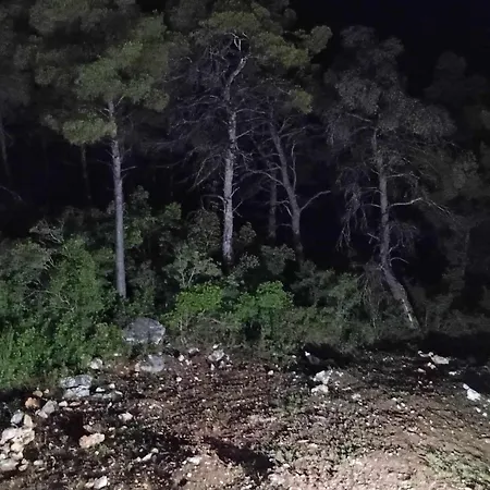 Sandra Appartement *