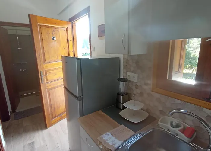 Apartment Sandra Panormos (Skopelos)